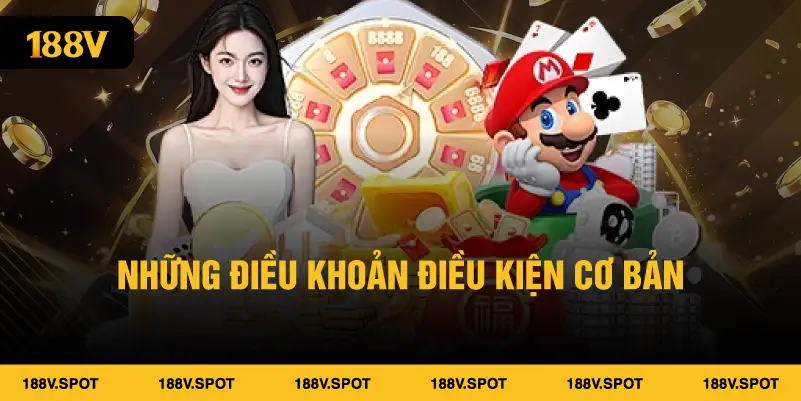 Những điều khoản điều kiện cơ bản